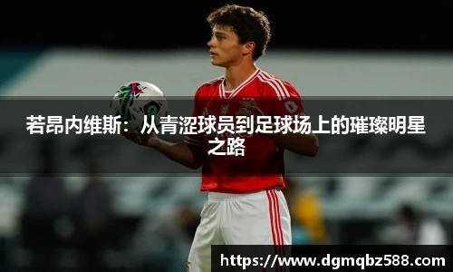 南宫娱乐官网